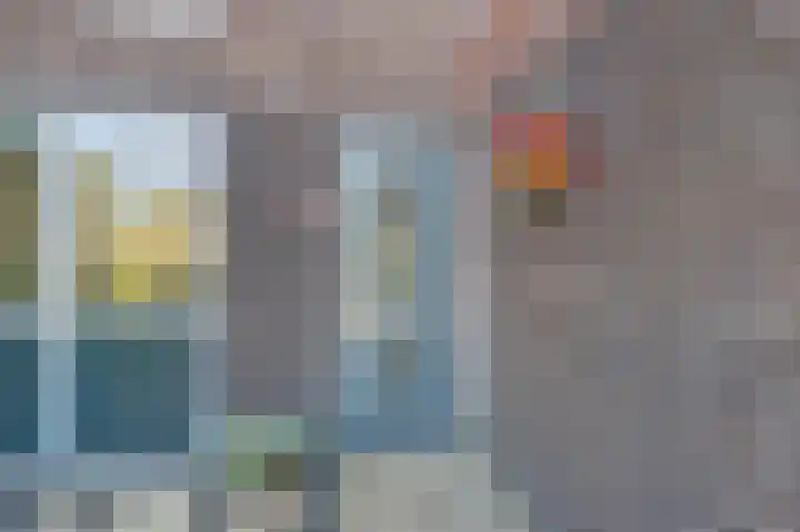 Griendakker 44 Gouda thumbnail 6