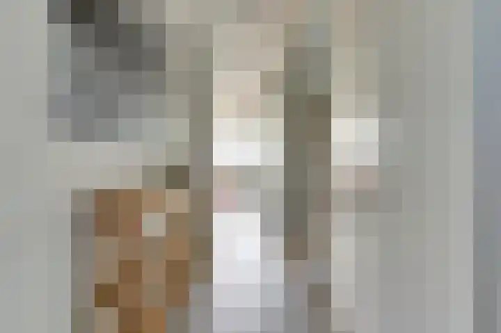 Griendakker 44 Gouda thumbnail 7