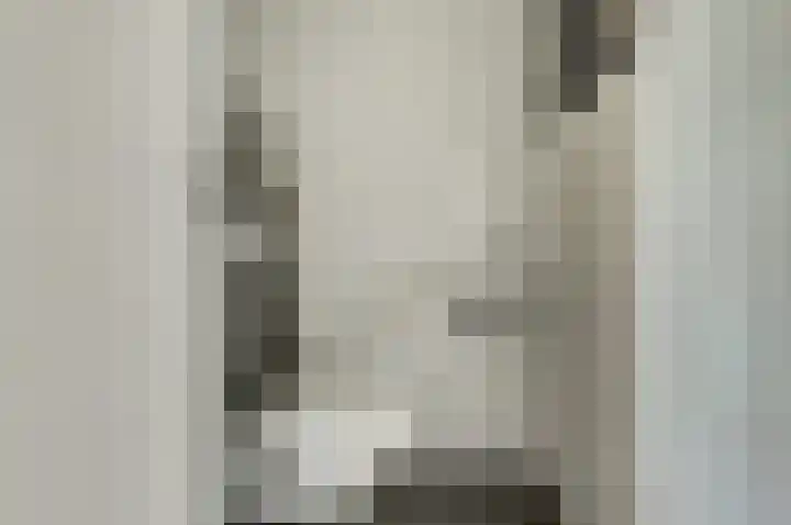 Griendakker 44 Gouda thumbnail 8