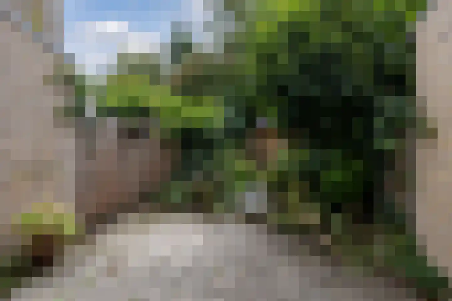 Grienden 59 Leusden thumbnail 25