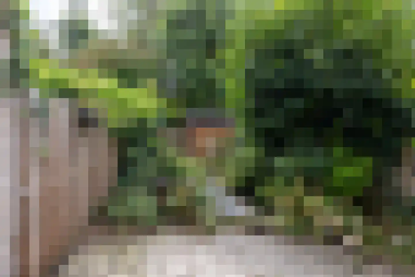 Grienden 59 Leusden thumbnail 26