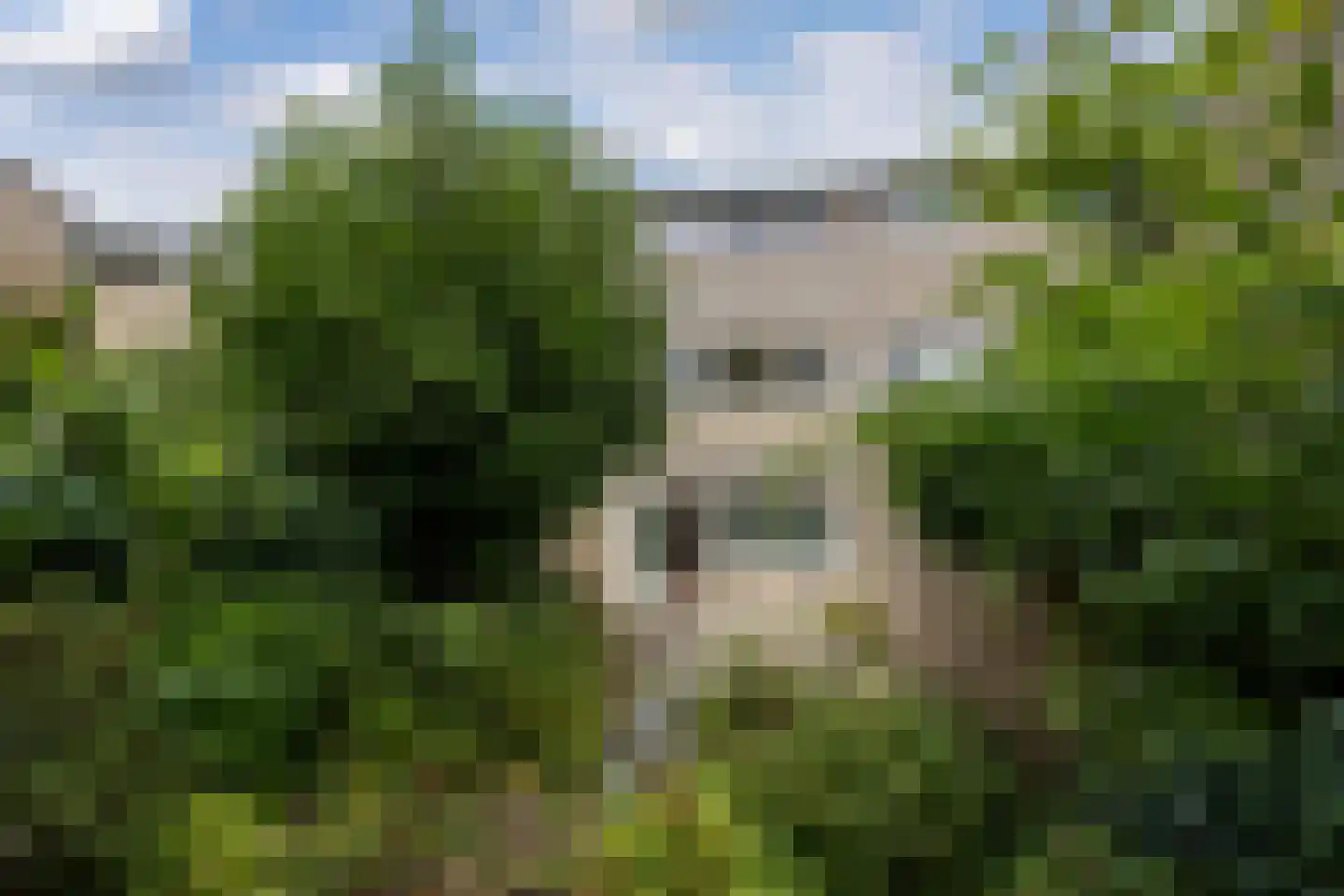 Grienden 59 Leusden thumbnail 27