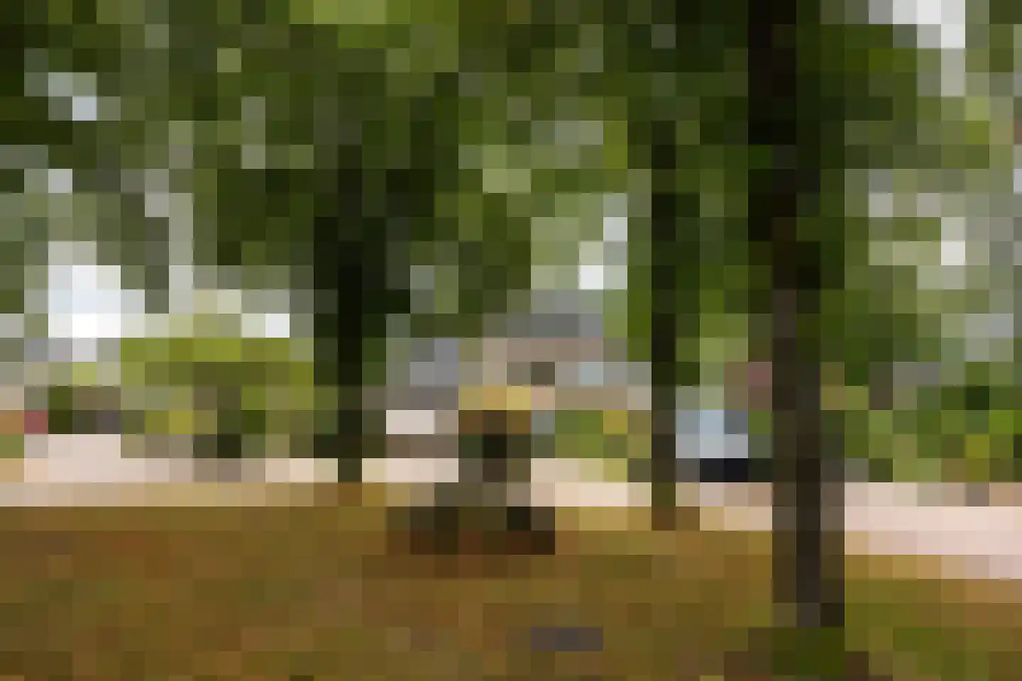 Grienden 59 Leusden thumbnail 28