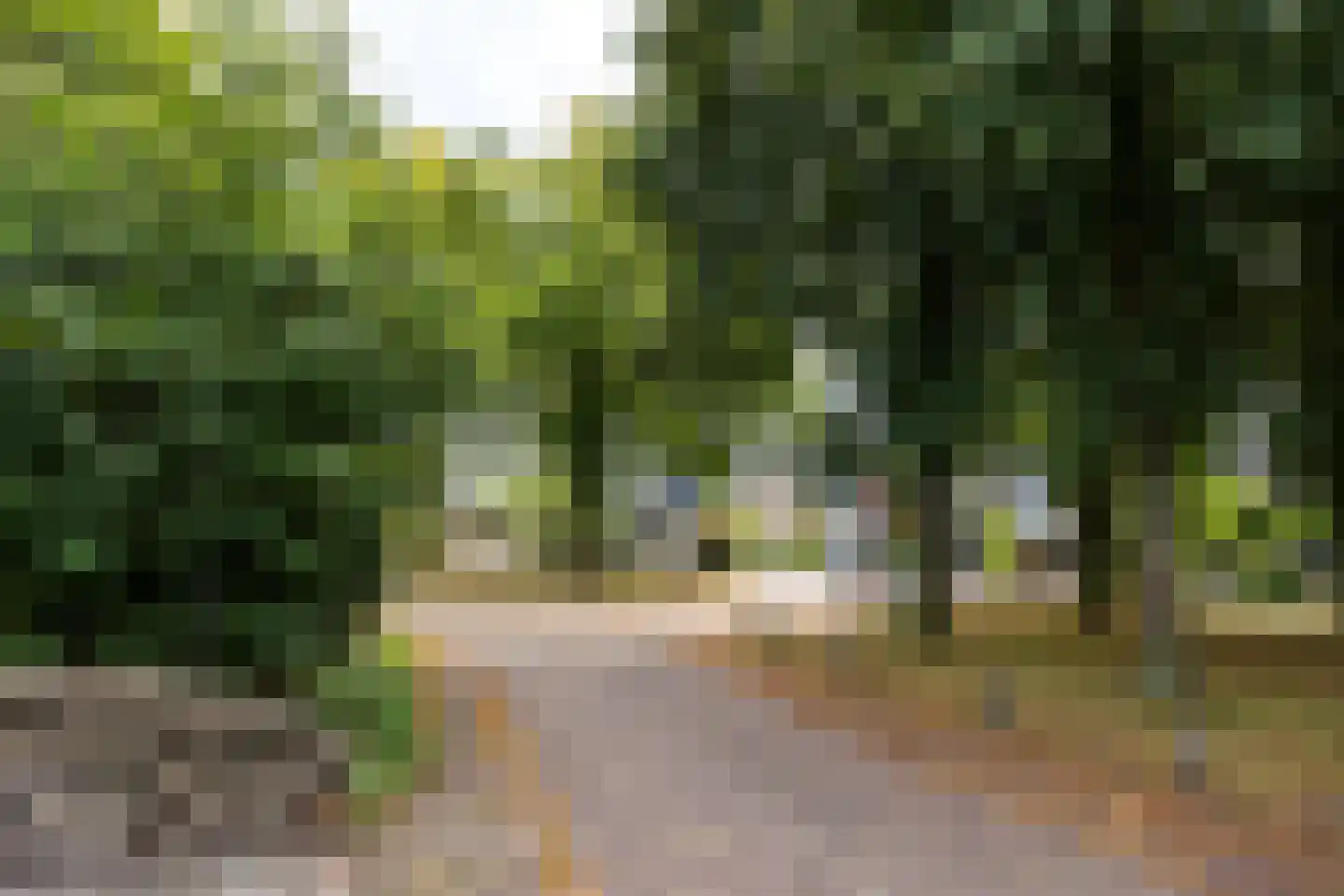 Grienden 59 Leusden thumbnail 31