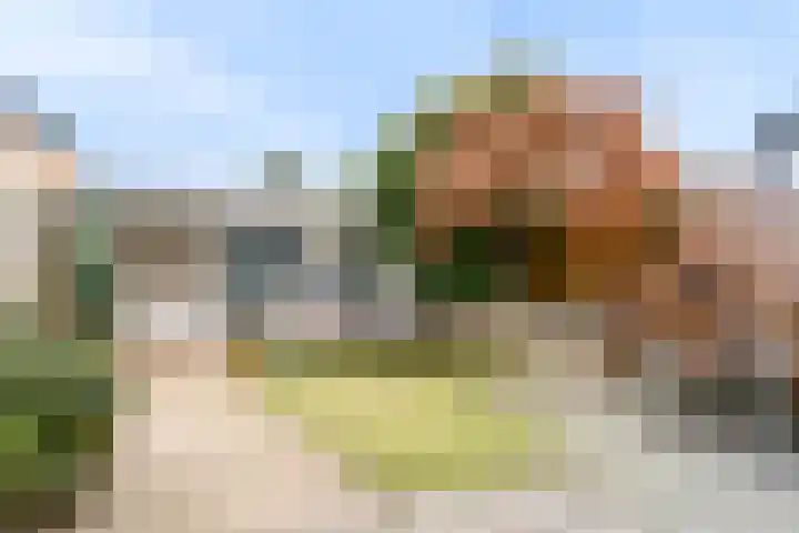 Griendhoeve 12 Vleuten thumbnail 30