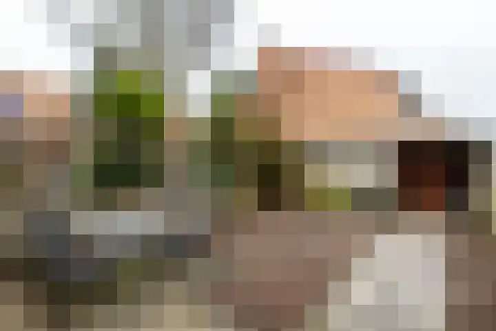 Griendhoeve 13 Vleuten thumbnail 11