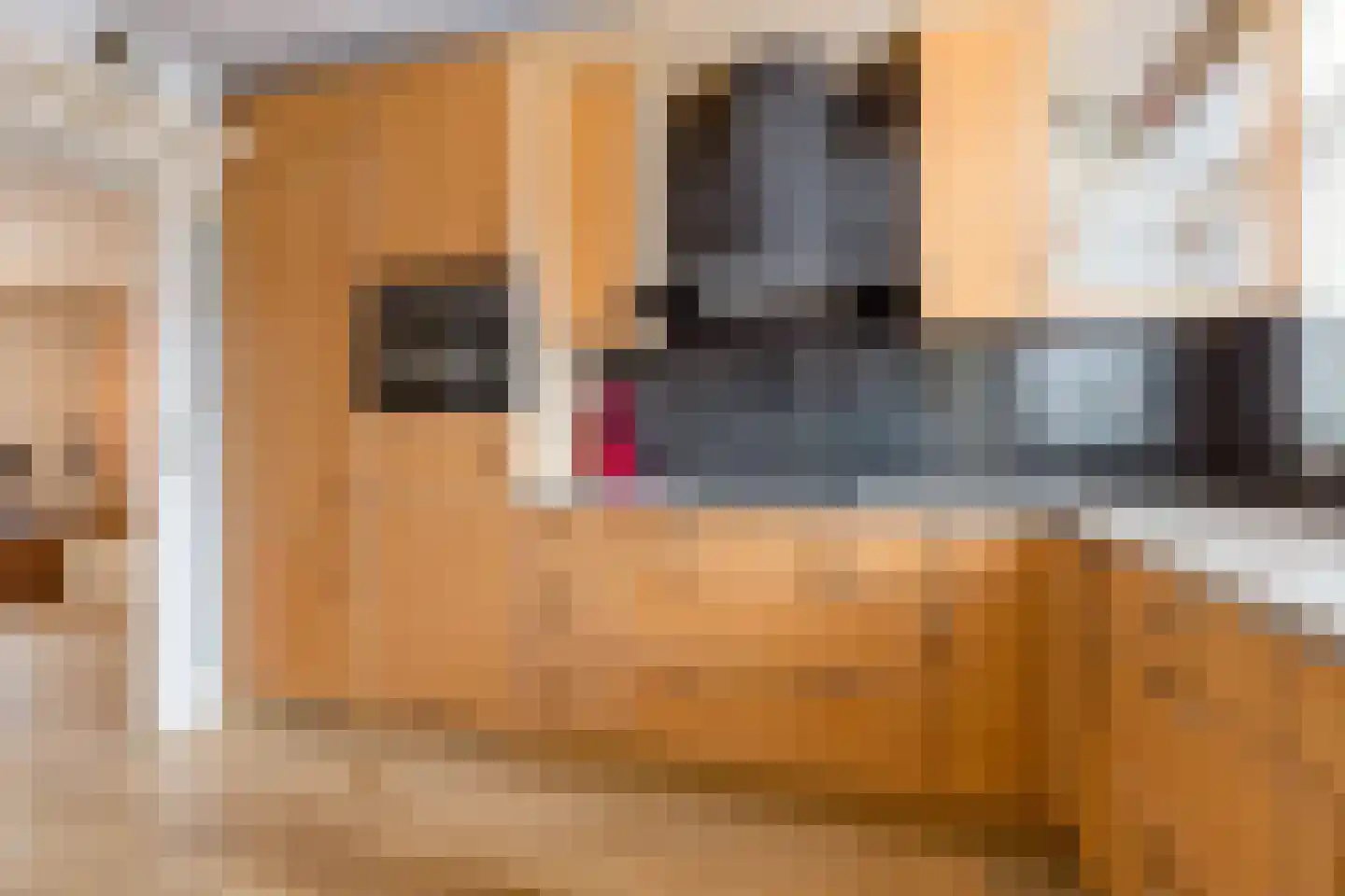 Griendhoeve 4 Houten thumbnail 20