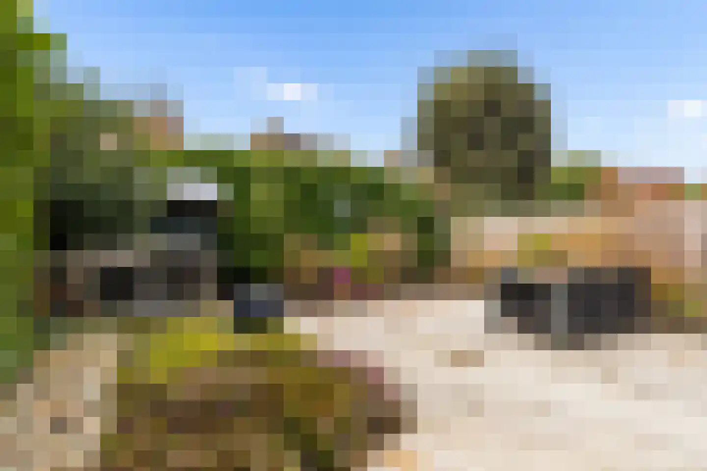 Griendhoeve 4 Houten thumbnail 44