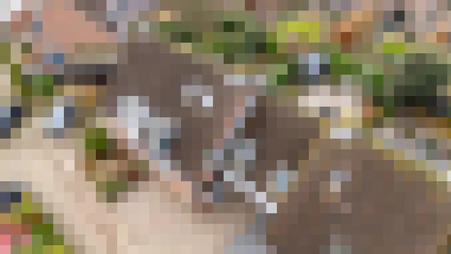 Griendhoeve 4 Houten thumbnail 53