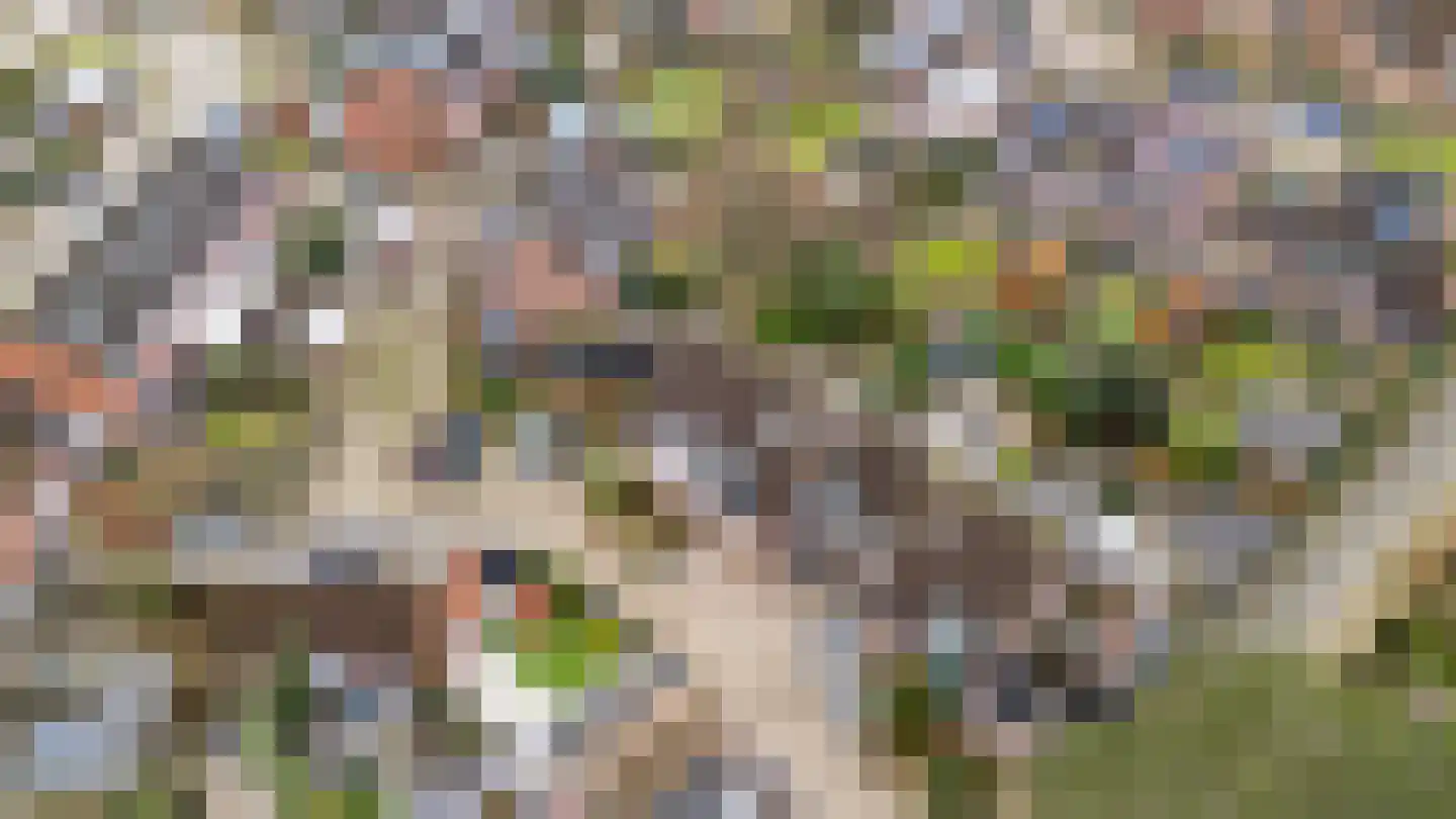 Griendhoeve 4 Houten thumbnail 54