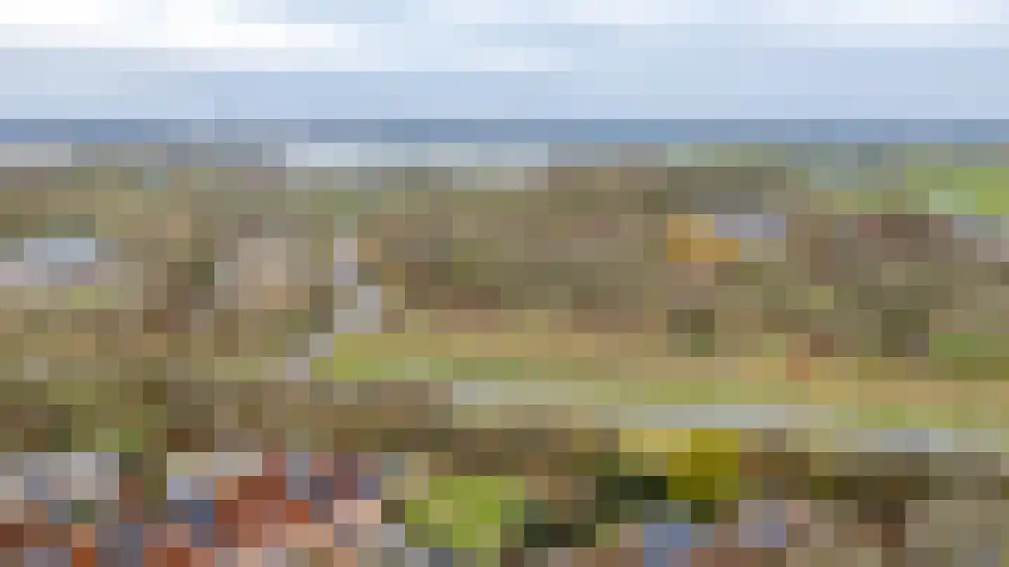 Griendhoeve 4 Houten thumbnail 56