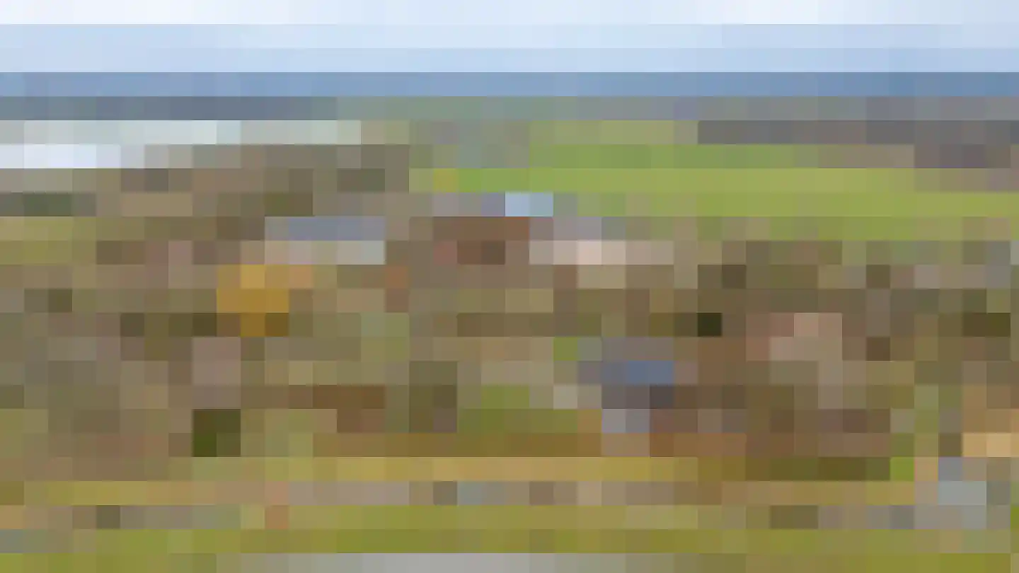 Griendhoeve 4 Houten thumbnail 57