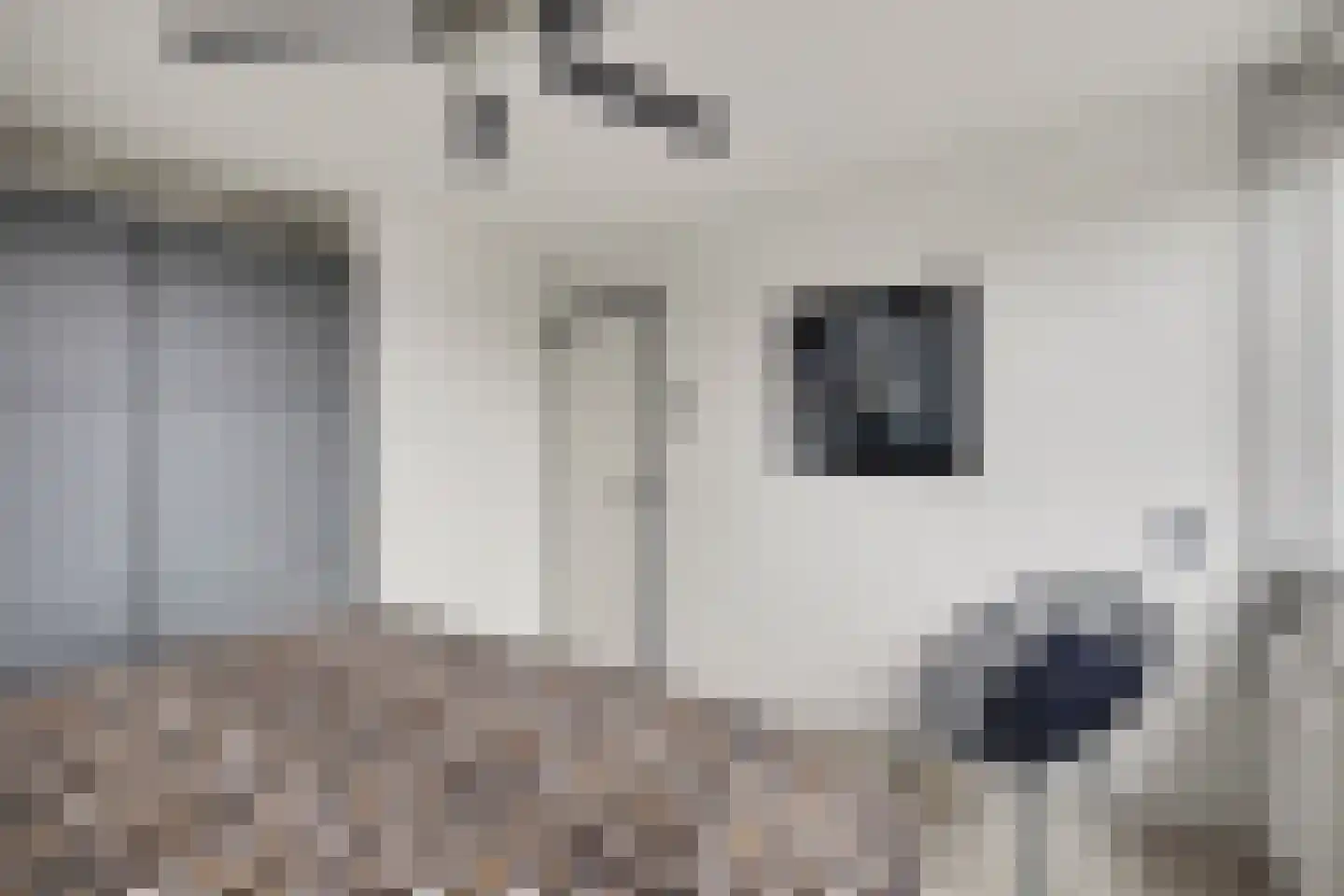 Griendstraat 12 Mookhoek thumbnail 16