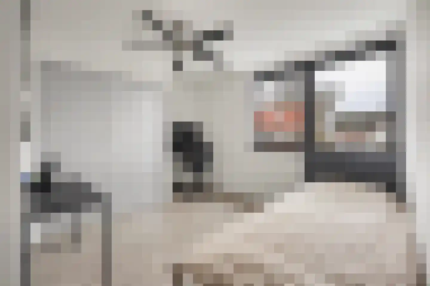 Griendstraat 12 Mookhoek thumbnail 18