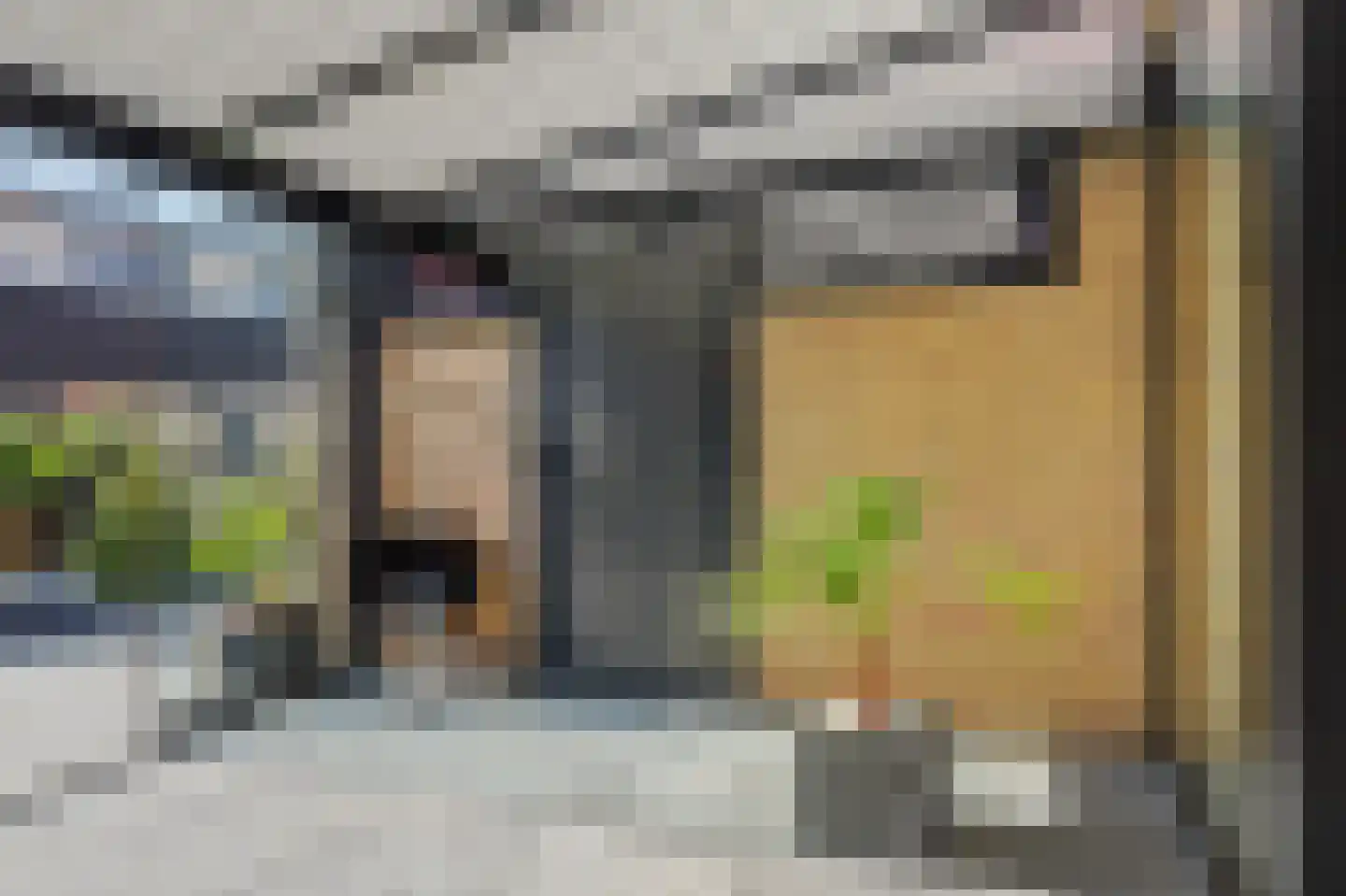Griendstraat 12 Mookhoek thumbnail 34