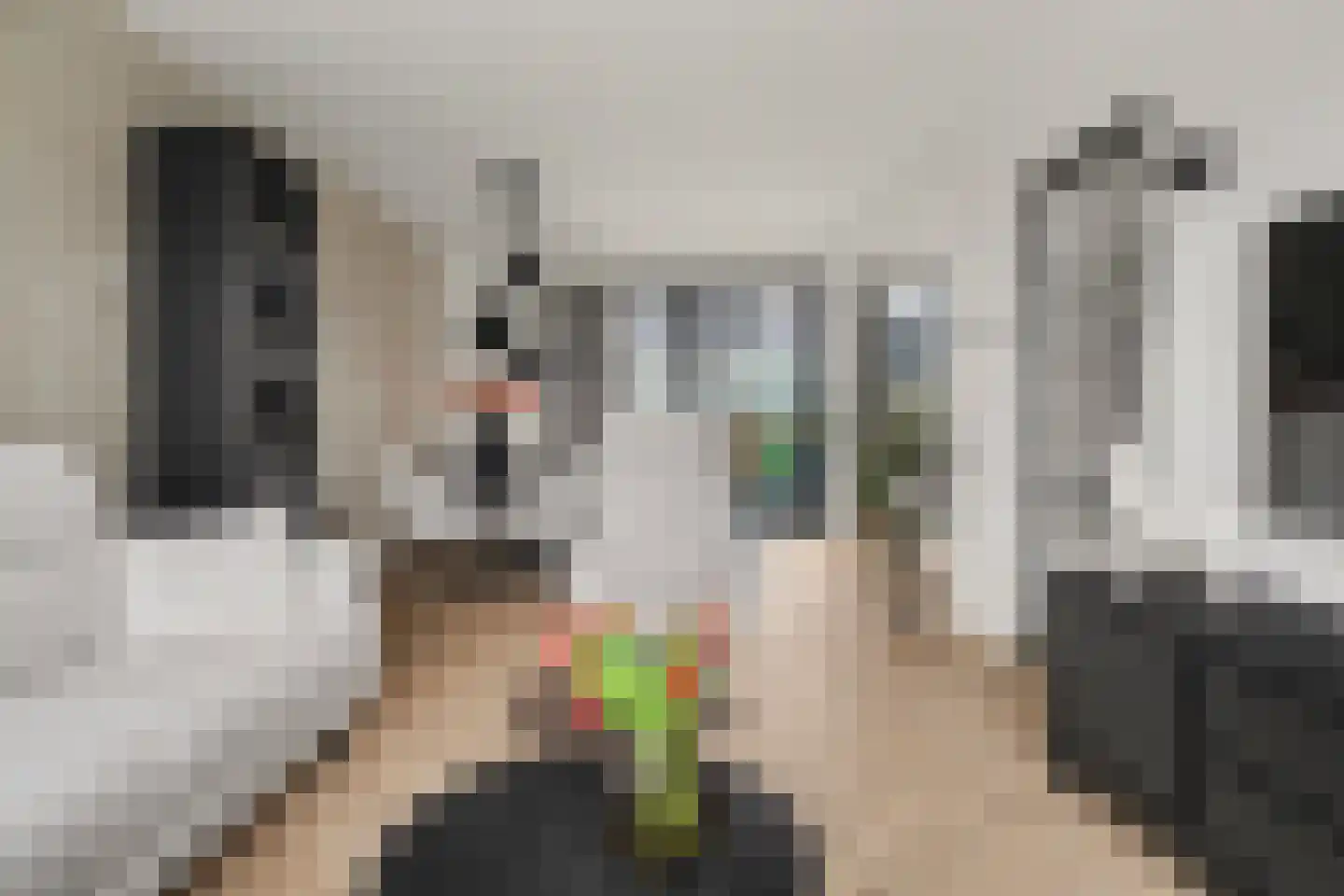 Griendstraat 12 Mookhoek thumbnail 4