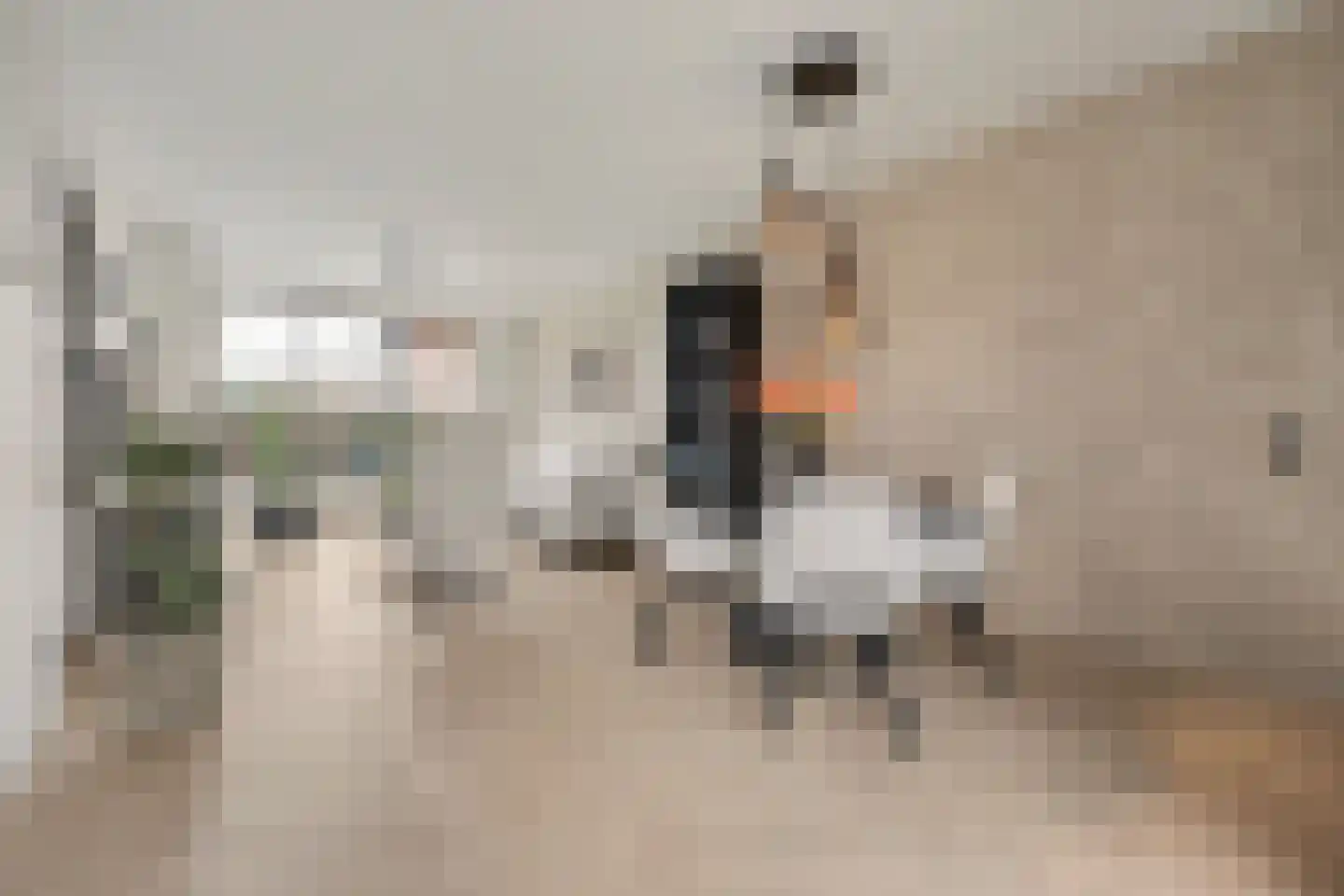 Griendstraat 12 Mookhoek thumbnail 5