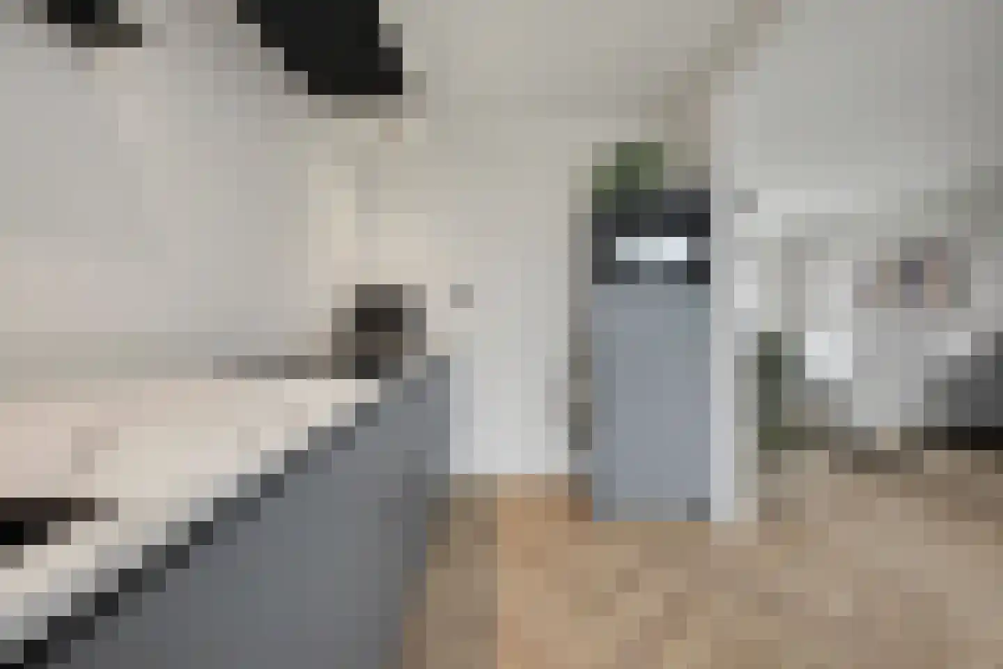 Griendstraat 12 Mookhoek thumbnail 8