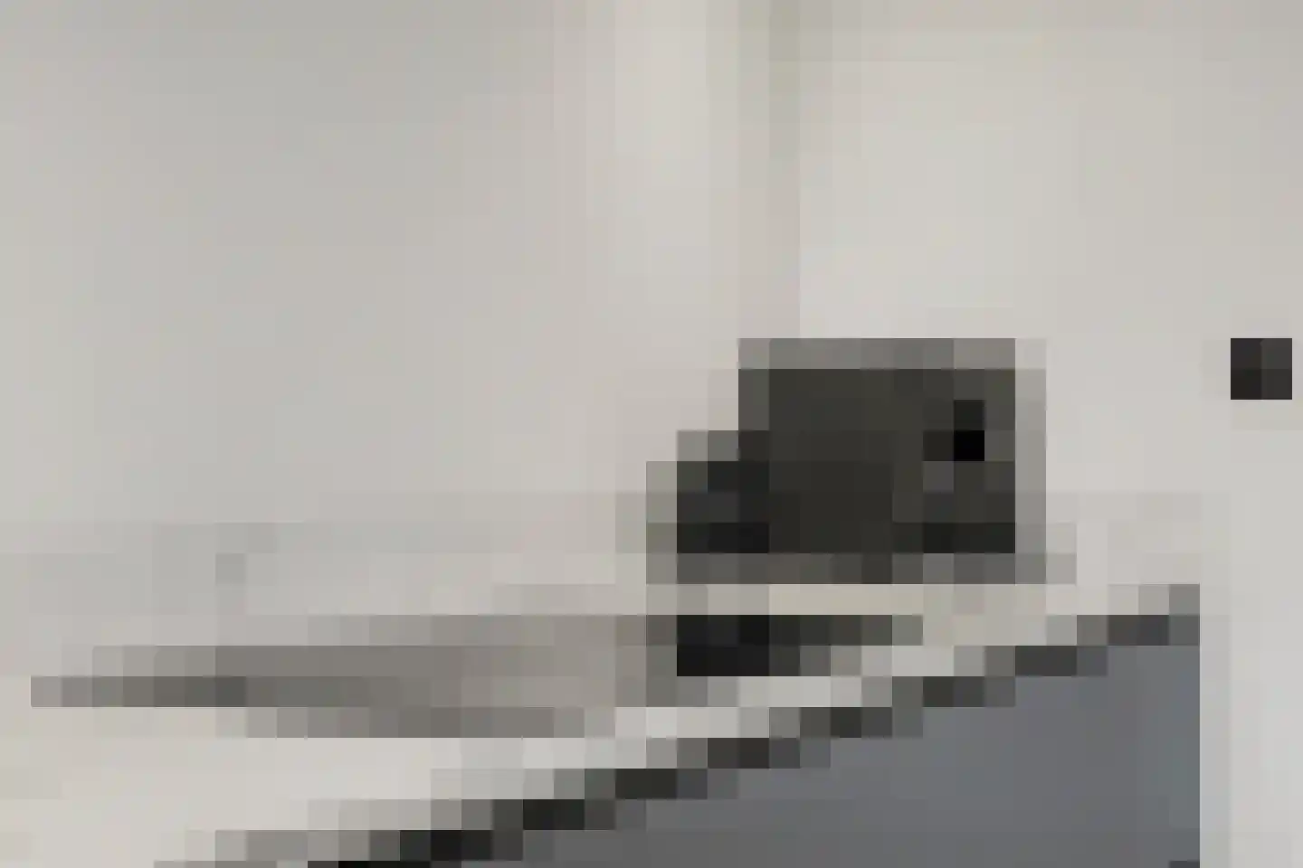 Griendstraat 12 Mookhoek thumbnail 9