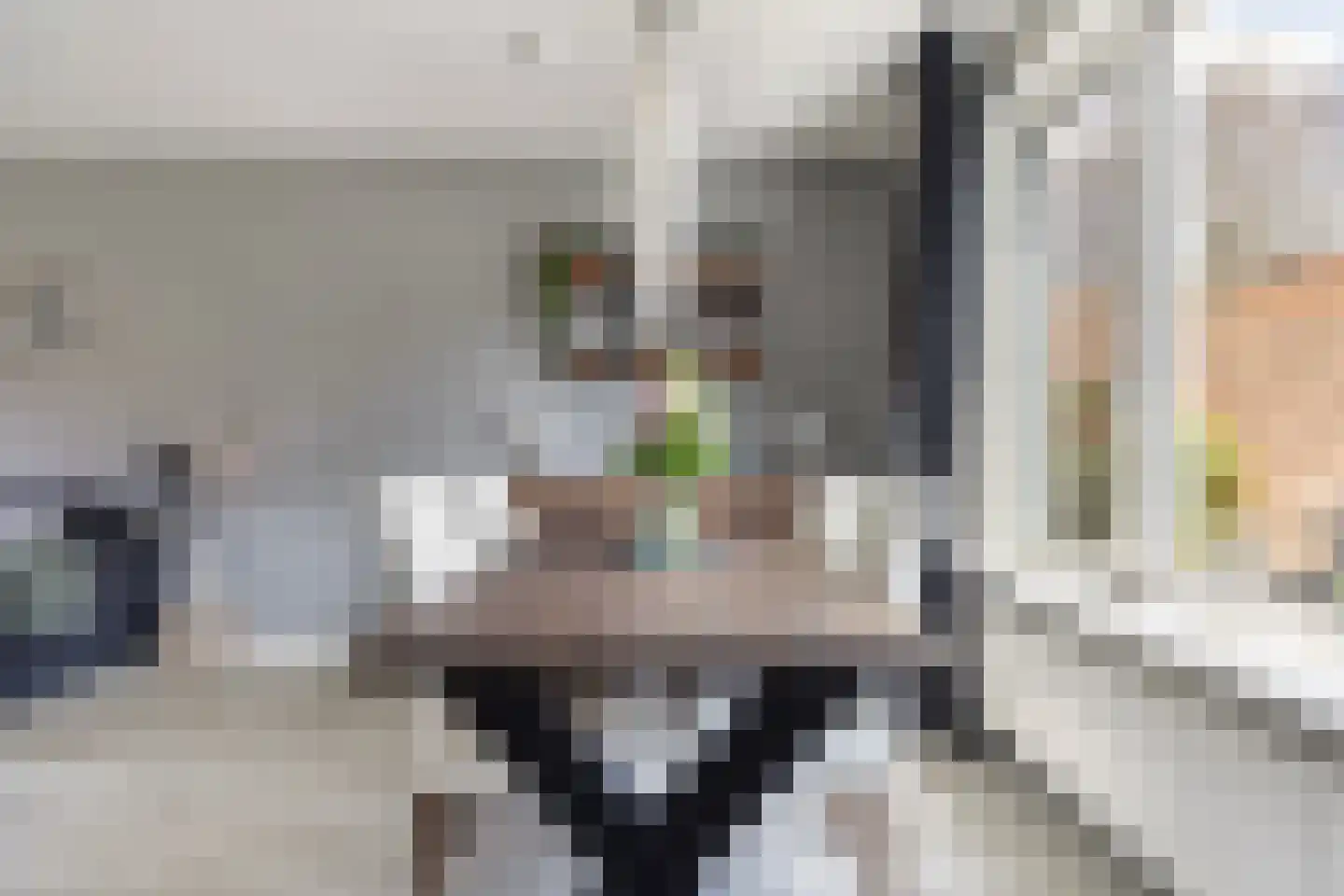 Griendstraat 20 Mookhoek thumbnail 11