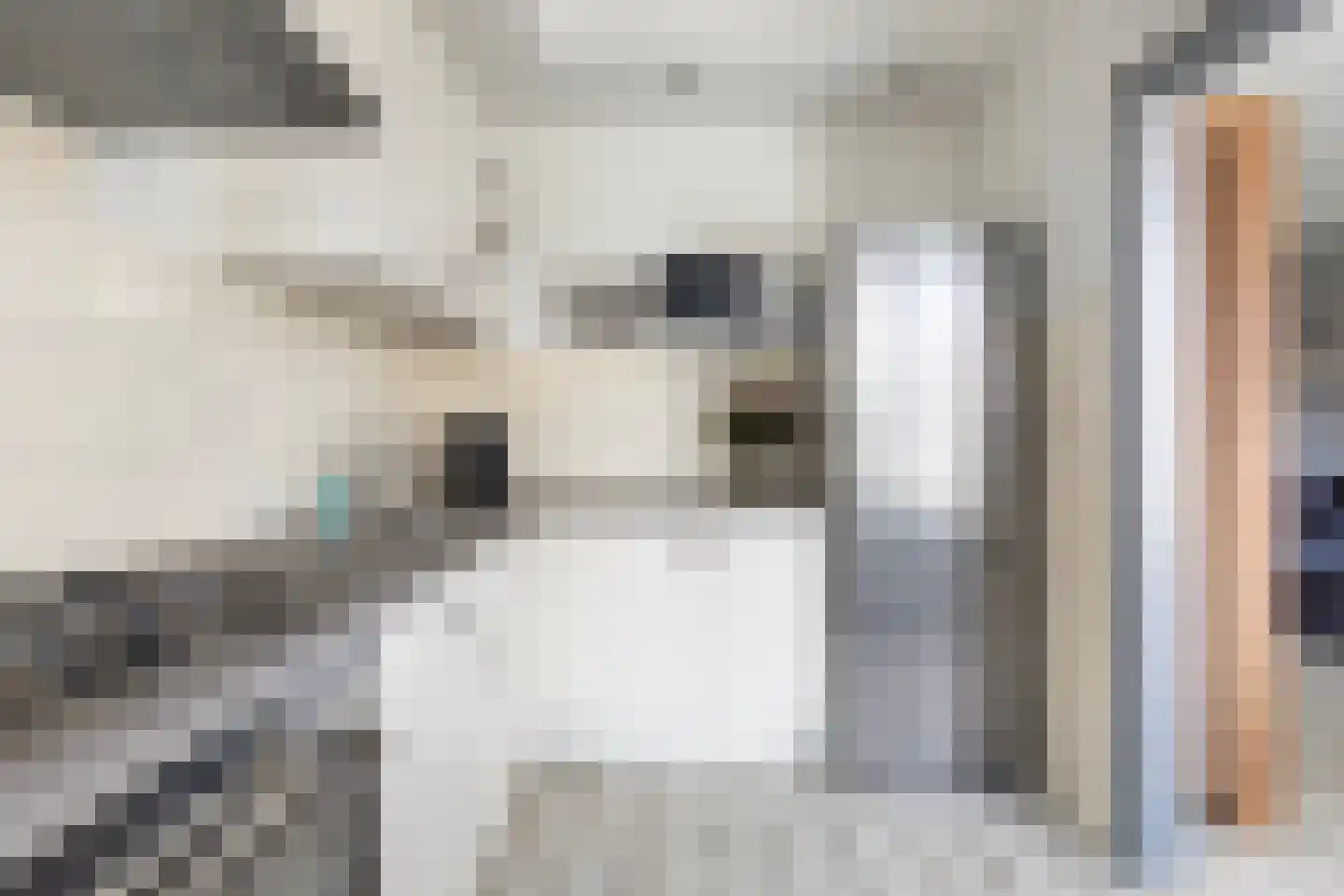 Griendstraat 20 Mookhoek thumbnail 14