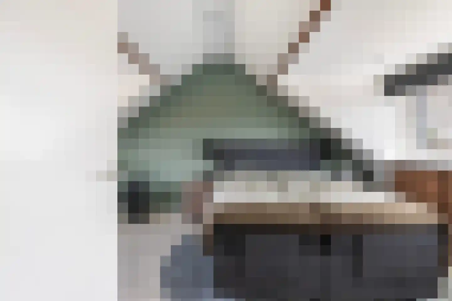 Griendstraat 20 Mookhoek thumbnail 29
