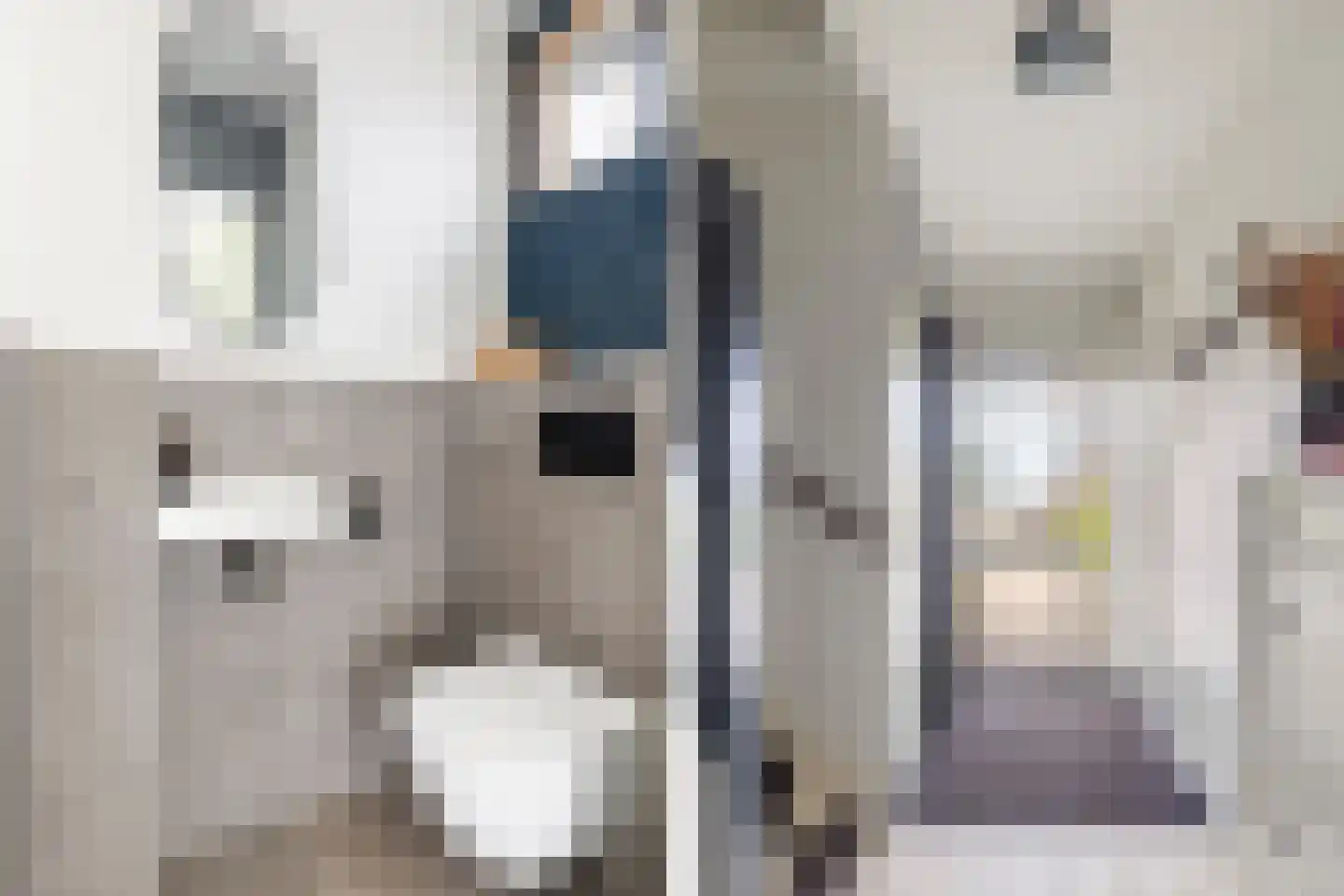 Griendstraat 20 Mookhoek thumbnail 4