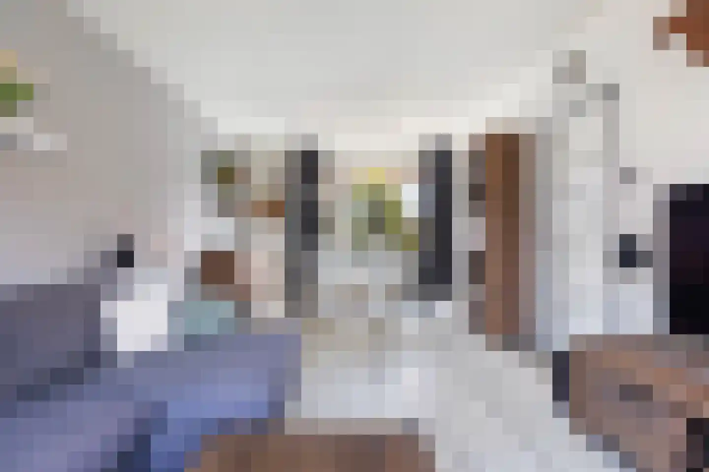 Griendstraat 20 Mookhoek thumbnail 8