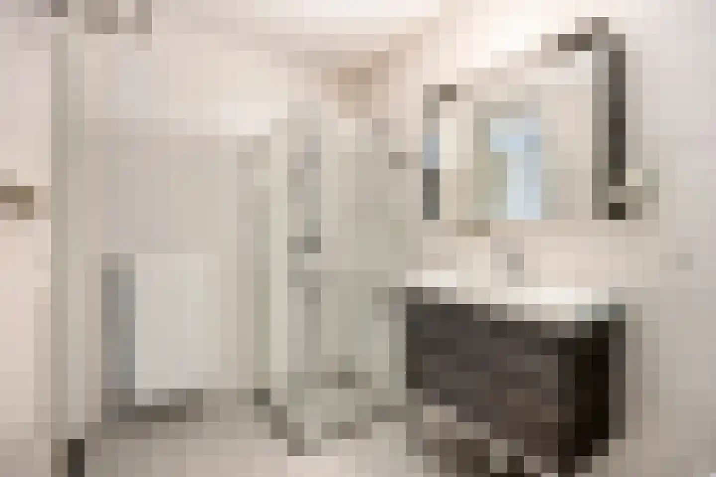 Griendstraat 49 Berkel en Rodenrijs thumbnail 13