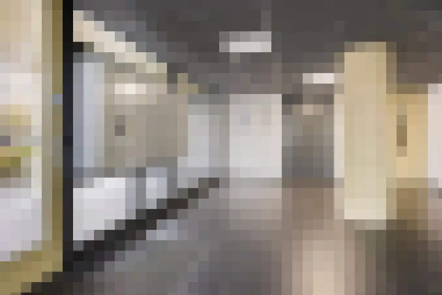 Griendstraat 49 Berkel en Rodenrijs thumbnail 21