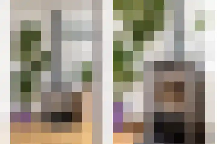 Griendstraat 6 Geldrop thumbnail 11