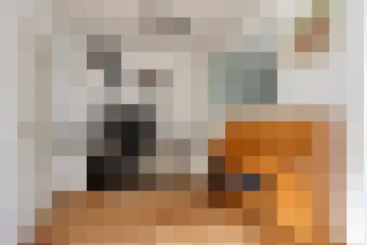 Griendstraat 6 Geldrop thumbnail 13