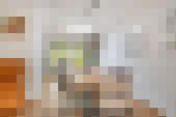 Griendstraat 6 Geldrop thumbnail 15