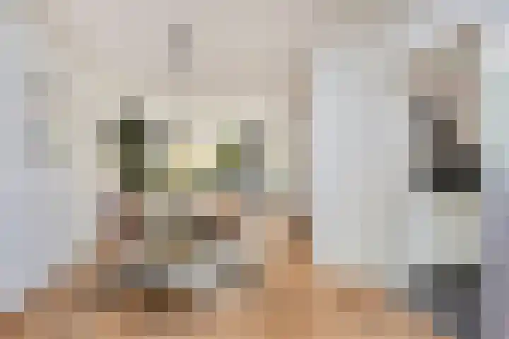 Griendstraat 6 Geldrop thumbnail 16