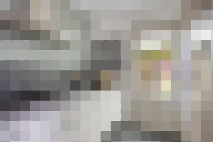 Griendstraat 6 Geldrop thumbnail 18