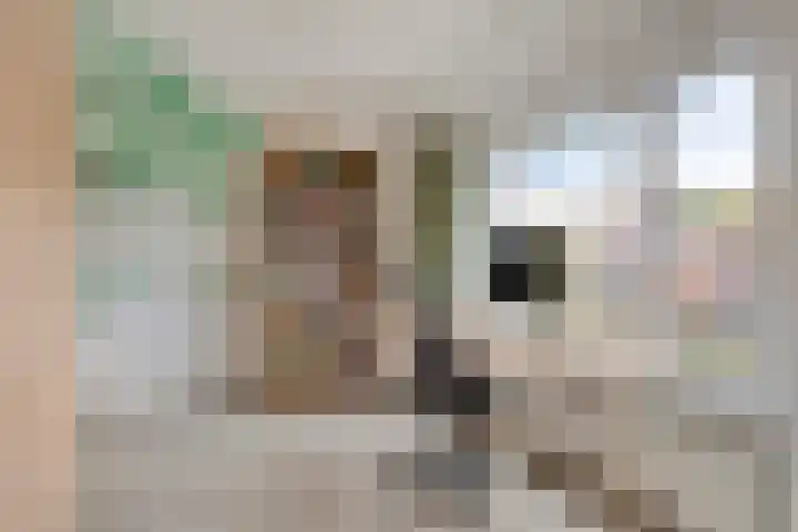 Griendstraat 6 Geldrop thumbnail 21