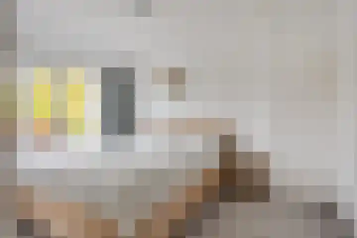 Griendstraat 6 Geldrop thumbnail 23