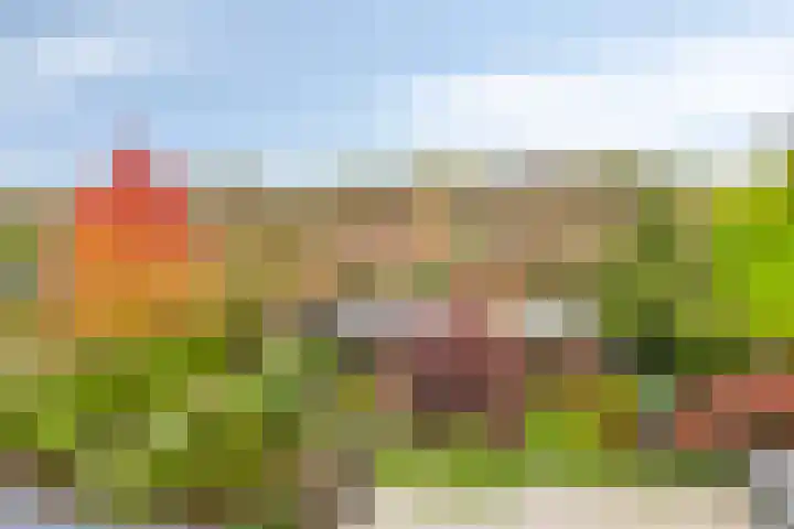 Griendstraat 6 Geldrop thumbnail 30