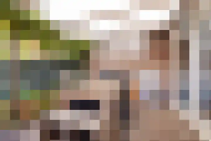 Griendstraat 6 Geldrop thumbnail 31