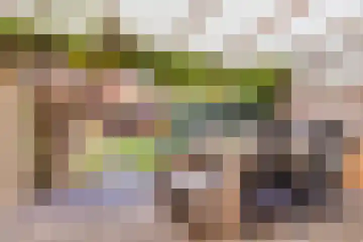 Griendstraat 6 Geldrop thumbnail 32