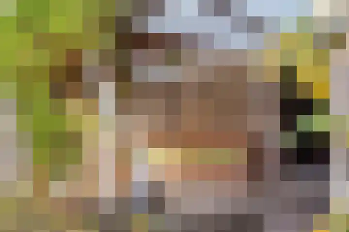 Griendstraat 6 Geldrop thumbnail 34