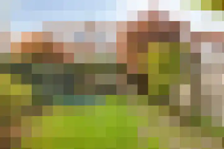 Griendstraat 6 Geldrop thumbnail 35