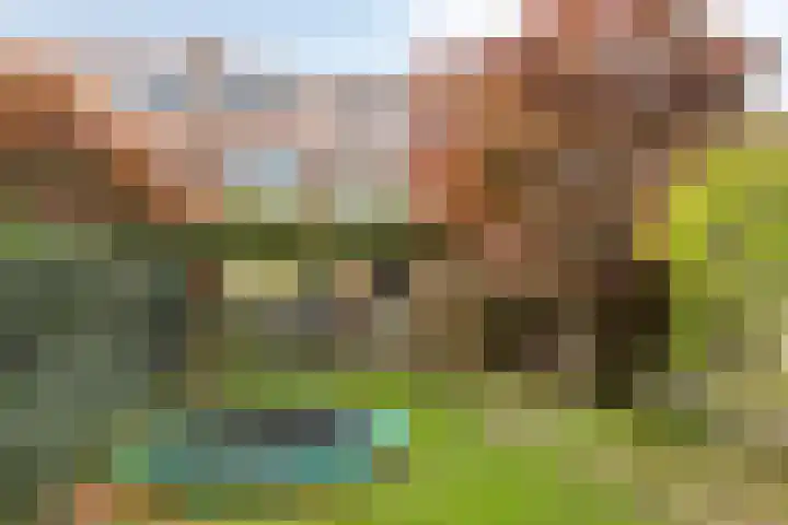 Griendstraat 6 Geldrop thumbnail 36