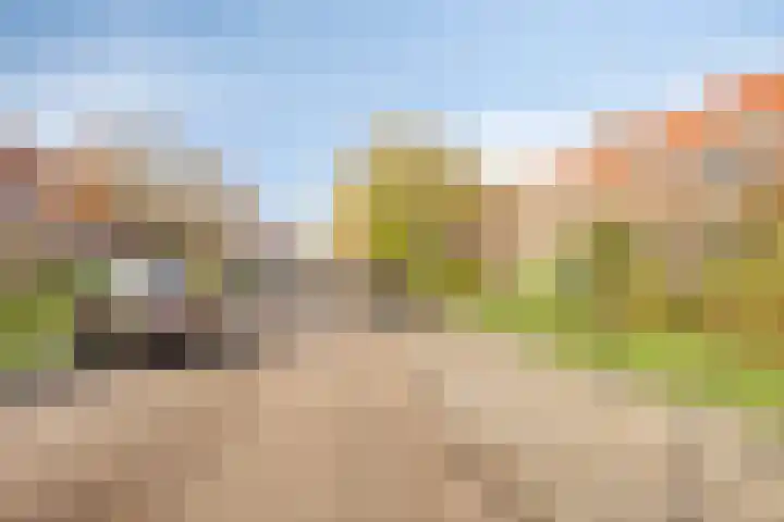 Griendstraat 6 Geldrop thumbnail 38