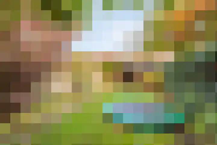 Griendstraat 6 Geldrop thumbnail 6