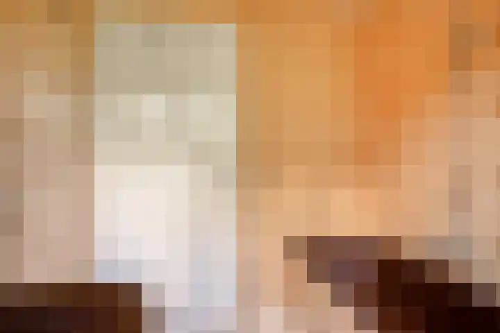 Griendstraat 62 Geldrop thumbnail 21
