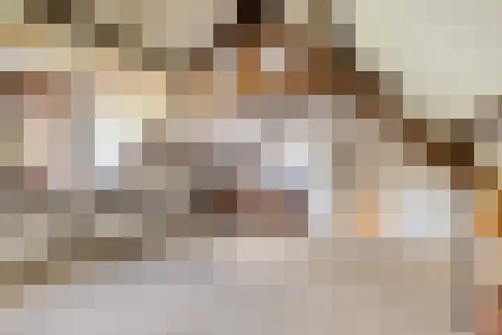 Griendstraat 62 Geldrop thumbnail 25
