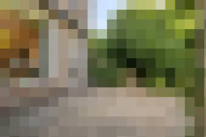 Griendstraat 62 Geldrop thumbnail 26