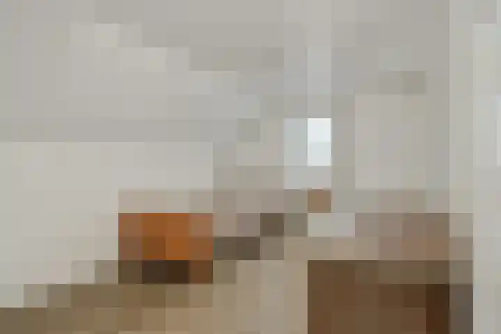 Griendtsveenseweg 29 Deurne thumbnail 29