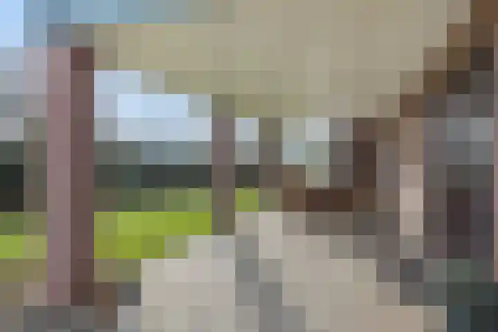 Griendtsveenseweg 29 Deurne thumbnail 31